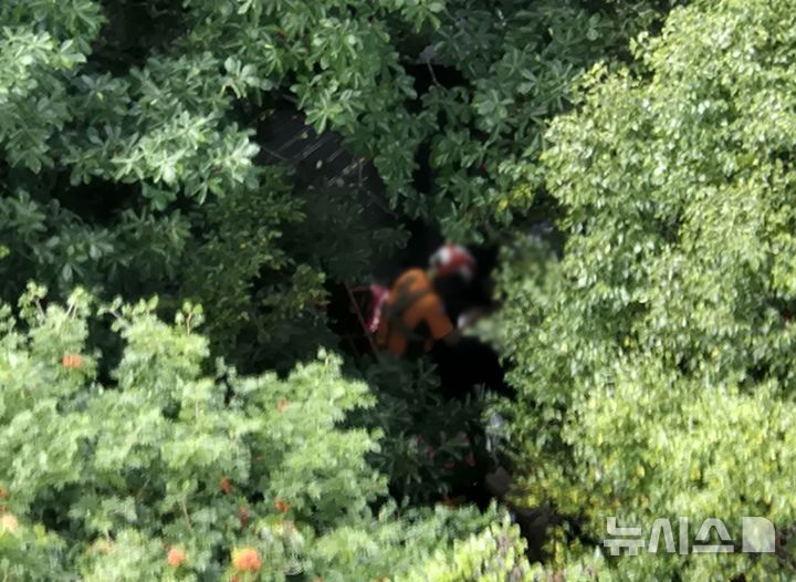 [제주=뉴시스] 5일 오후 제주 한라산 성판악 등산로에서 등산객이 쓰러져 소방당국이 헬기를 동원해 구조 작업을 벌이고 있다. (사진=제주소방안전본부 제공) 2025.09.05. photo@newsis.com