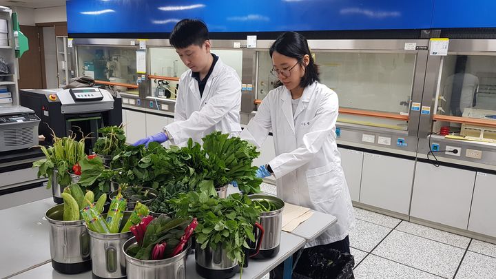 [대전=뉴시스]대전보건환경연구원이 지역 농산물 잔류농약 검사를 벌이고 있다. 2025. 09. 06 photo@newsis.com *재판매 및 DB 금지