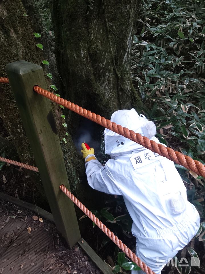 [제주=뉴시스] 6일 오전 제주 한라산 관음사탐방로에서 소방당국이 말벌집을 제거하고 있다. (사진=제주소방안전본부 제공) 2025.09.05. photo@newsis.com 