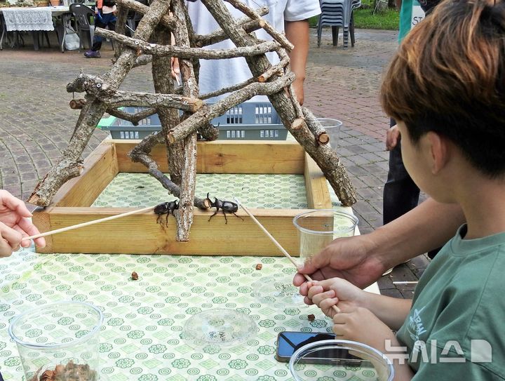 [제주=뉴시스] 오영재 기자 = 6일 오전 제주 한라생태숲에서 열린 제2회 나무포럼에서 방문객이 곤충교실 체험을 하고 있다. '도시의 나무, 미래의 숲'을 주제로 열린 나무포럼은 제주도와 뉴시스 제주본부, 국민일보가 주최했다. 2025.09.05. oyj4343@newsis.com 