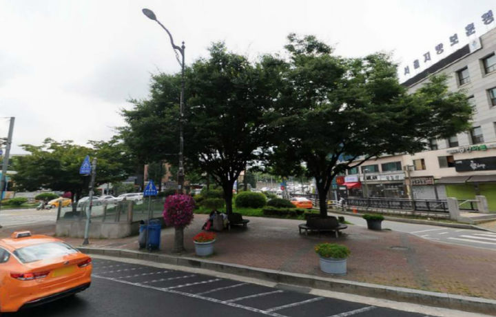 [서울=뉴시스]용산구 삼각지역 교통섬 그늘목. 2019.06.03. (사진=서울시 제공) *재판매 및 DB 금지