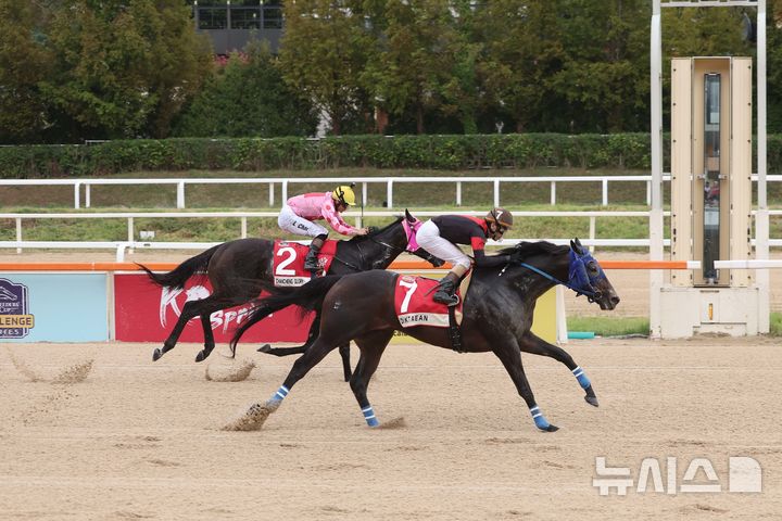 [서울=뉴시스]코리아컵 경주 우승마 일본의 딕테이언. (사진=한국마사회 제공)