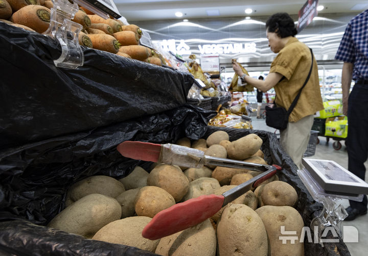 [서울=뉴시스] 김근수 기자 = 강원 지역 가뭄이 계속되는 가운데 7일 서울 시내의 한 대형마트 매대에 감자가 놓여 있다.&nbsp;&nbsp; 한국농수산식품유통공사(aT) 농수산물유통정보에 따르면 지난 5일 기준 감자 소매가격은 100g에 430원으로 지난 달보다 13%, 전년보다 41% 상승했다고 밝혔다. 2025.09.07. ks@newsis.com