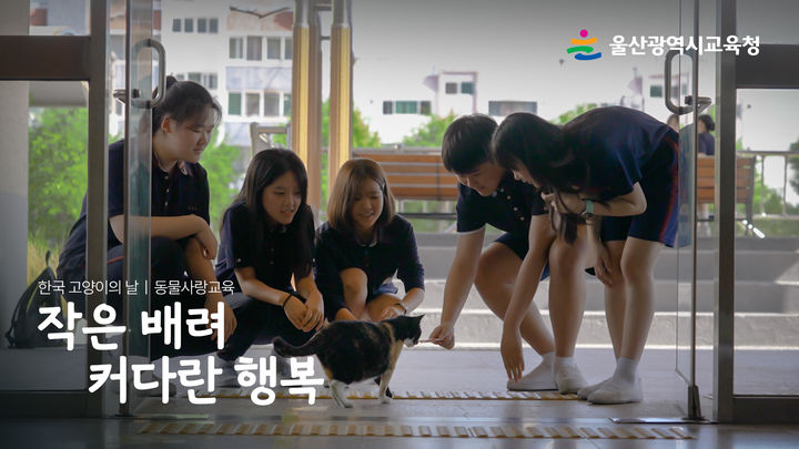 [울산=뉴시스] 구미현 기자 = 울산시교육청은 오는 9일 한국 고양이의 날을 맞아 고양이를 돌보는 학생들의 이야기를 담은 영상을 제작해 공식 유튜브에 공개했다고 8일 밝혔다. (사진=울산시교육청 제공) 2025.09.08. photo@newsis.com *재판매 및 DB 금지