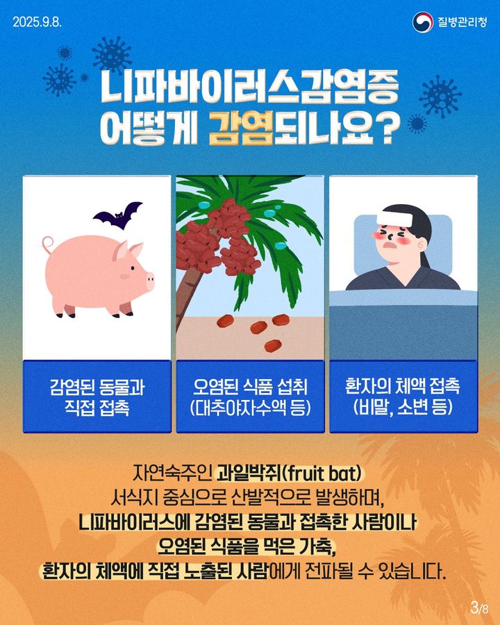 [울산=뉴시스] 니파바이러스감염증(사진=질병관리청) *재판매 및 DB 금지