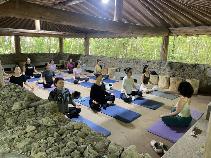 [제주=뉴시스] 곶자왈 힐링 리트릿. (사진=제주곶자왈공유화재단 제공) 2025.09.08. photo@newsis.com *재판매 및 DB 금지