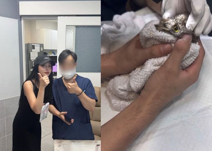 [서울=뉴시스] 가수 홍진영이 길에서 위험에 처한 부엉이를 구조한 사연을 전했다. (사진=홍진영 인스타그램 캡처) 2025.09.08. photo@newsis.com&nbsp; *재판매 및 DB 금지