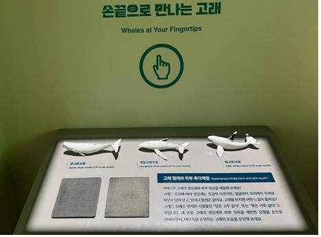 고래 모형·피부 촉감 체험(촉각) 테이블. (사진=국립인천해양박물관 제공) *재판매 및 DB 금지