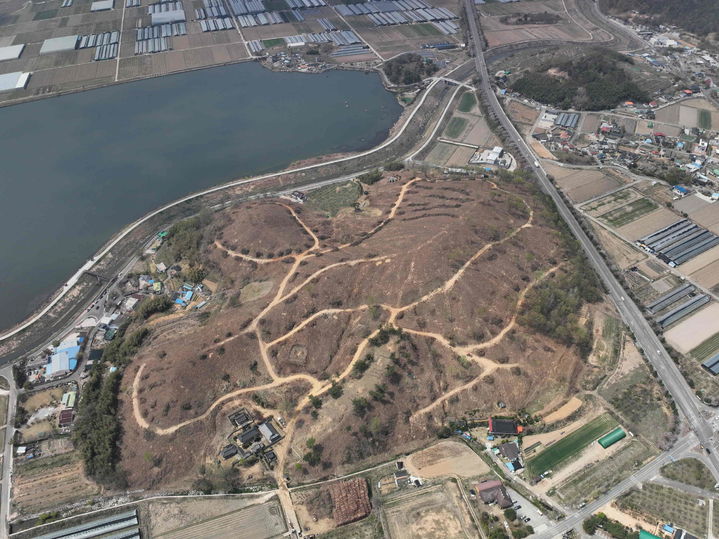 [밀양=뉴시스] 밀양시 초동면 신호리 수종전환 방제 현장. (사진=밀양시 제공) 2025.09.08. photo@newsis.com *재판매 및 DB 금지