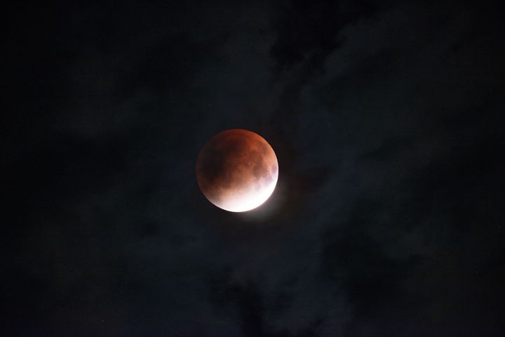 전영범 한국천문연구원 책임연구원이 촬영한 8일 새벽 개기월식. 개기식 시작 전 부분식의 모습이다. (사진=천문연 제공) *재판매 및 DB 금지