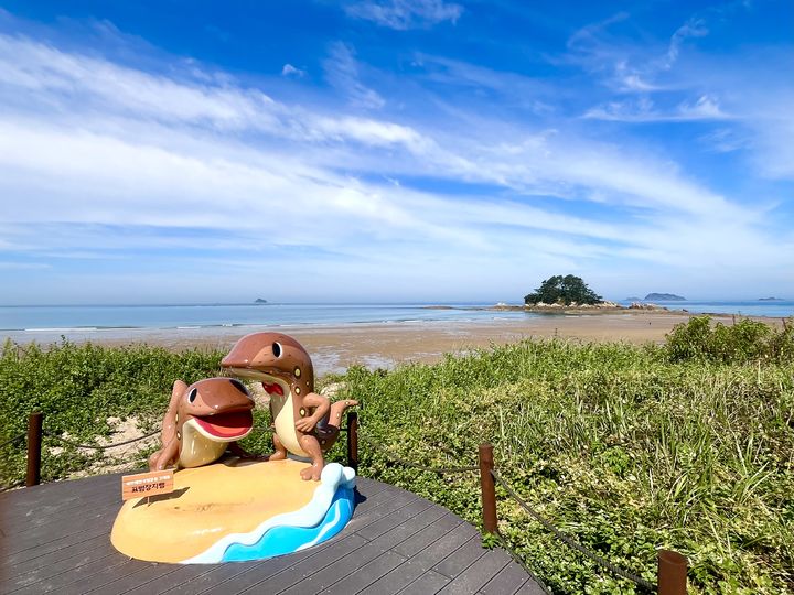 [태안=뉴시스] 태안해안국립공원사무소가 10월1일부터 한달간 탐방로 예약제로 운영하는 학암포-구례포 구간 내 학암포 해변 전경. (사진=태안해안국립공원사무소 제공) 2025.09.08. photo@newsis.com *재판매 및 DB 금지