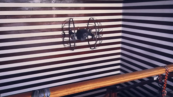 [뉴시스] 2023년 정찰·검사·구조용으로 활용됐던 루스터 주행 영상. (사진 = 'ROBOTICAN' 유튜브 갈무리) 2025.09.08. *재판매 및 DB 금지