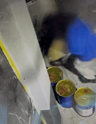 [뉴시스] 위층 주인이 양모씨에게 앙심을 품고 고양이 똥을 투척하는 모습.(사진=지무신문) *재판매 및 DB 금지