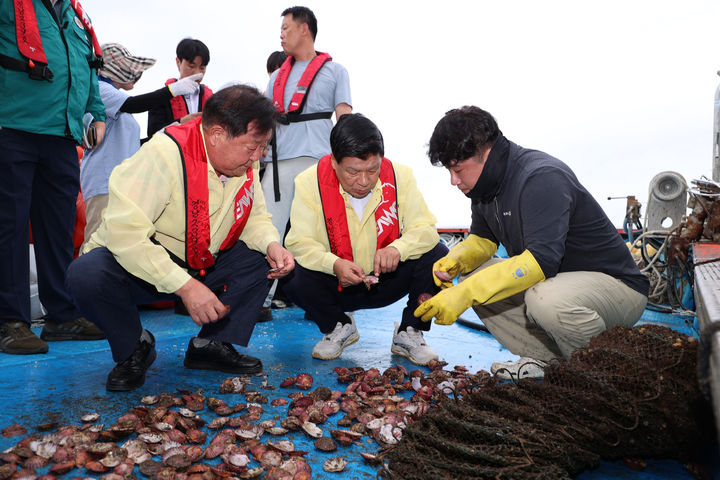 [고성(경남)=뉴시스] 신정철 기자= 경남 고성군 자란만 등에서 산소부족 물덩어리(빈산소수괴) 발생으로 8일 현재 20억원 이상의 굴과 가리비가 폐사된 것으로 알려졌다.사진은 이상근 고성군수가 8일 가리비 폐사 양식장을 방문, 피해 어민들과 대책을 논의하고 있다.(사진=고성군 제공).2025.09.08. photo@newsis.com *재판매 및 DB 금지