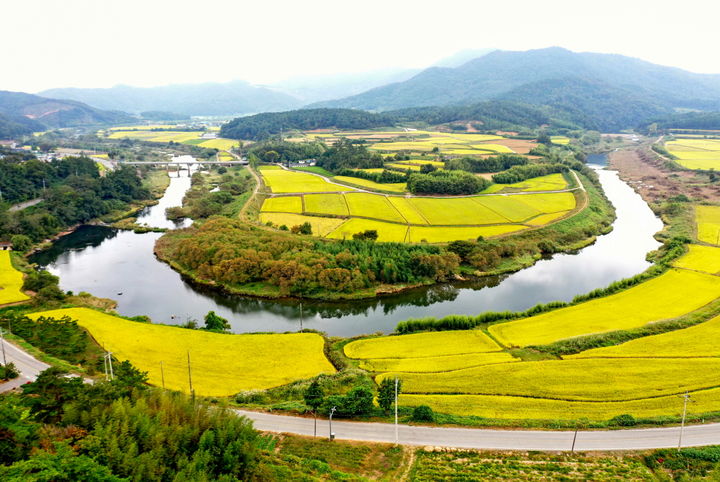 *재판매 및 DB 금지