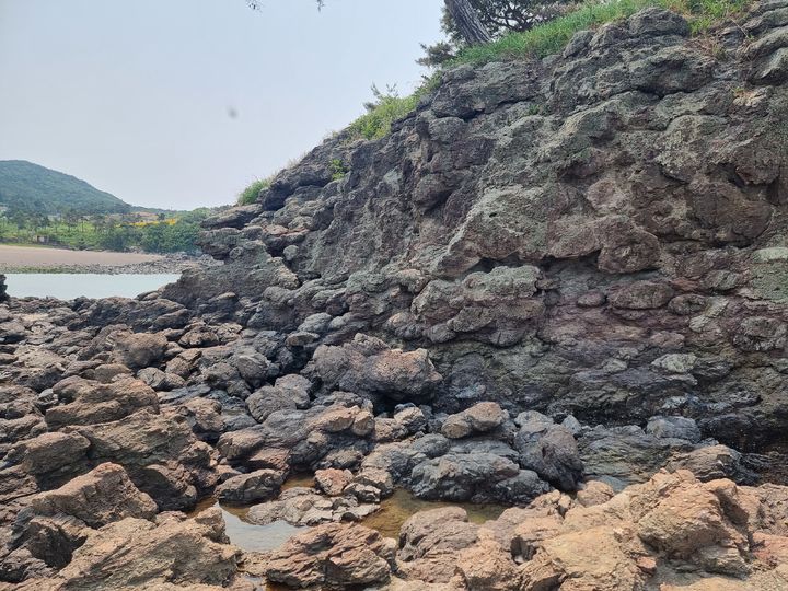 [서울=뉴시스] 부안 도청리 솔섬 응회암 내 구상구조 (사진=국가유산청 제공) 2025.09.09. photo@newsis.com *재판매 및 DB 금지