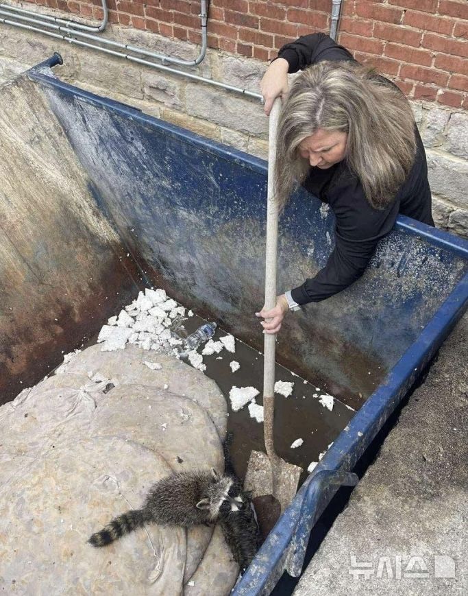 [뉴시스] 간호사 미스티 콤스는 쓰레기통에 갇힌 너구리를 구출했다. (사진=뉴욕포스트) 2025.09.08. 