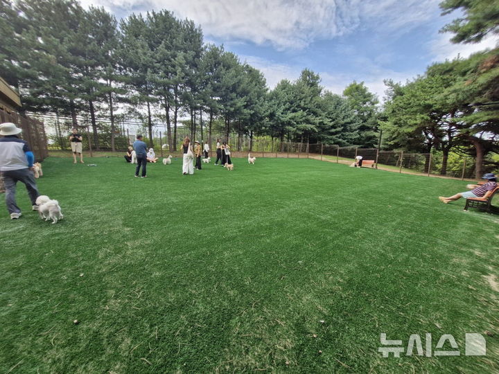 [고양=뉴시스] 경기 고양시 정발산공원 반려견 놀이터.(사진=고양시 제공).photo@newsis.com