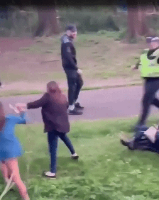 [뉴시스]영국의 한 공원에서 경찰에 밀쳐져 도랑으로 우스꽝스럽게 떨어지는 여성의 영상이 화제를 모았다.(사진=더선)2025.09.09 *재판매 및 DB 금지