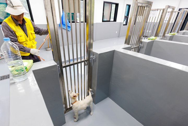 단양군 유기동물보호센터 *재판매 및 DB 금지