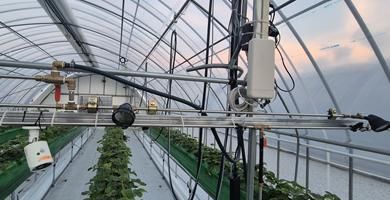 [세종=뉴시스] 작물 생육 모니터링 장치. (사진 = 농촌진흥청 제공) 2025.09.10. *재판매 및 DB 금지