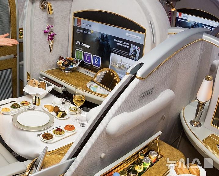 [뉴시스] 에미레이트 항공의 퍼스트 클래스는 업계 최고 수준의 프리미엄 좌석으로 꼽히며, 세계 여행객들 사이에서 ‘버킷리스트 좌석’이라고도 불린다.(사진=데일리메일) 2025.09.09.