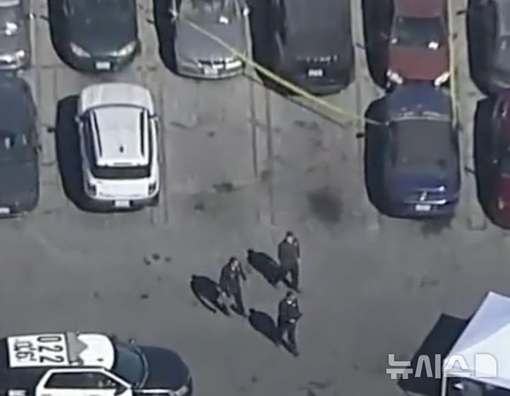  [뉴시스] LA의 한 압수 차량 보관소에서 시신이 발견됐다. (사진=뉴욕포스트) 2025.0.9.09. 