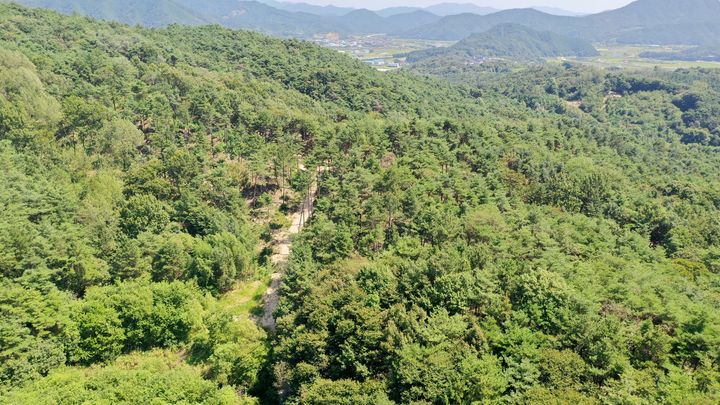 [함양=뉴시스] 함양군과 산림조합 산불 예방 숲가꾸기 사업 (사진=함양군 제공) 2025. 09. 10. photo@newsis.com *재판매 및 DB 금지