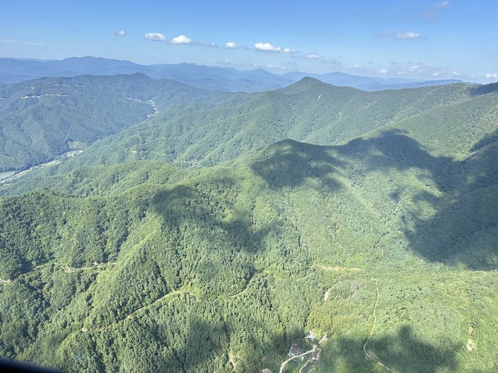 [평창=뉴시스] 소나무류 재선충병 항공예찰. (사진=평창군 제공) 2025.09.10. photo@newsis.com *재판매 및 DB 금지