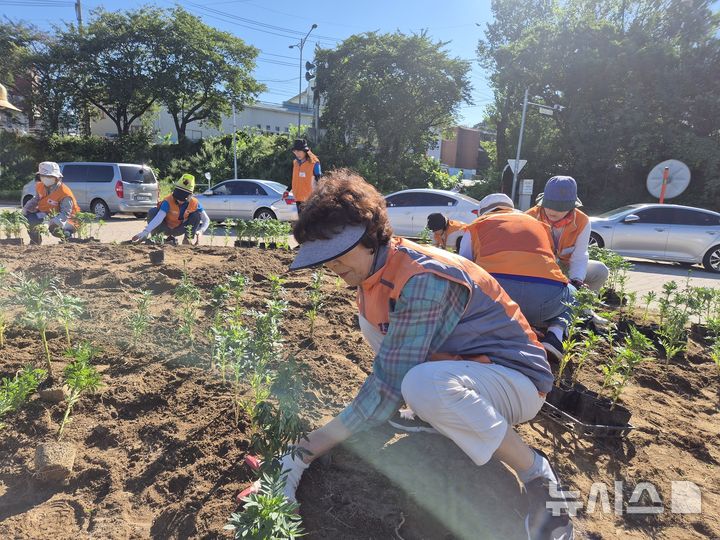[안양=뉴시스] '사계' 봉사활동에 참여한 봉사자들이 안양천 산책로변에 가을꽃을 심고 있다. (사진=안양시 자원봉사센터 제공) 2025.09.10. photo@newsis.com
