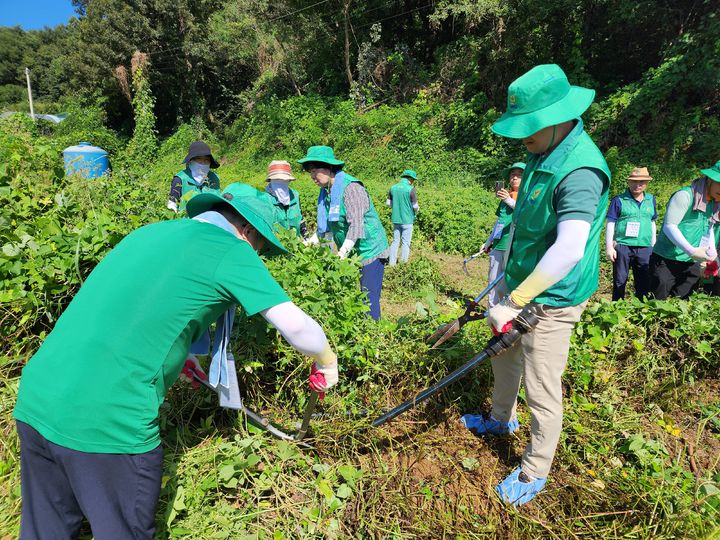 [수원=뉴시스]직장공장새마을회원들의 농촌 일손돕기(사진=경기도새마슬회 제공)2025.09.10.photo@newsis.com *재판매 및 DB 금지