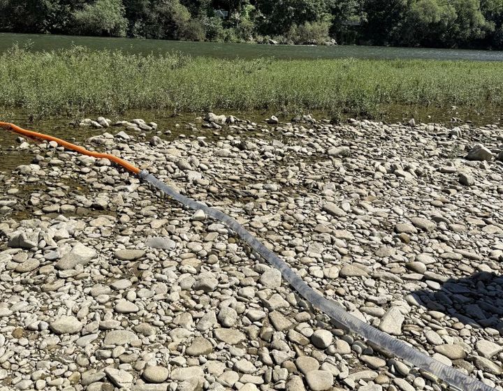 [홍천=뉴시스] 10일 홍천군(군수 신영재)은 이날 홍천 서면 모곡리 일원 홍천강에 어린 동자재 종자 5만 마리를 방류한다 고 밝혔다. 홍천군 제공. *재판매 및 DB 금지