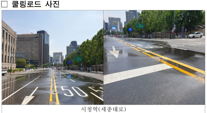 [서울=뉴시스]쿨링로드. 2025.09.11. (사진=서울시 제공) *재판매 및 DB 금지