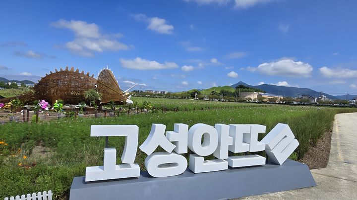 [고성(경남)=뉴시스] 신정철 기자= 경남 고성군은 기월리 안뜰에서 오는 19일부터 21일까지 총 3일간 관람객들이 꽃도 보고 고성군의 다양한 축제와 문화유산도 관람할 수 있도록 '2025 고성기월안뜰 경관농업 가을꽃 축제'를 개최한다.사진은 가을꽃의 여왕 코스모스꽃밭과 나무 트리케라톱스가 조성된 기월리 안뜰 전경.(사진=고성군 제공).2025.09.11. photo@newsis.com *재판매 및 DB 금지