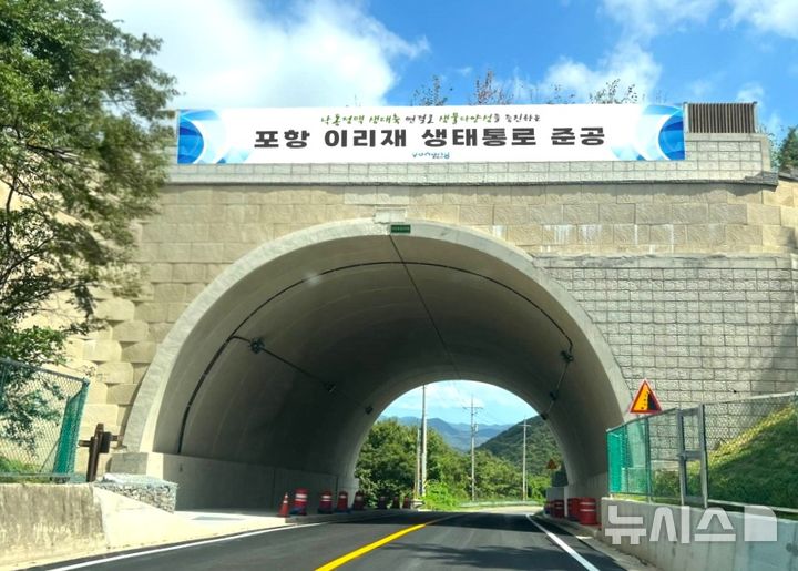 [포항=뉴시스] 송종욱 기자 = 경북 포항시는 북구 기계면 봉계리 이리재 생태 통로 준공으로 단절됐던 야생 동물 통로를 다시 만들어 낙동정맥 생태축을 복원했다. 사진은 이리재 생태 통로 전경. (사진=포항시 제공) 2025.09.11. photo@newsis.com