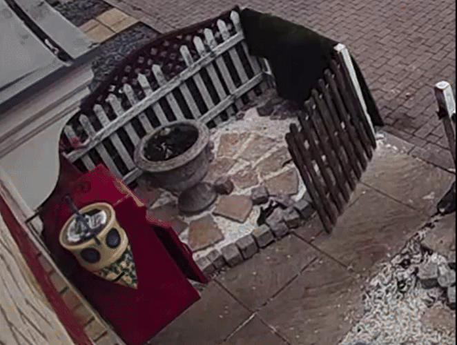 [뉴시스]강아지 주인이 소리치며 납치범을 쫒아가고 있다. (사진=더선) 2025.9.9 *재판매 및 DB 금지