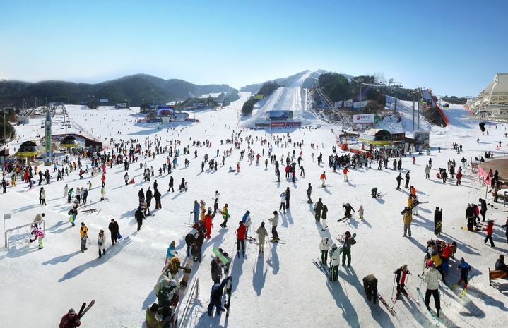 [횡성=뉴시스] 웰리힐리파크 슬로프 전경. (사진=웰리힐리 제공) 2025.09.11. photo@newsis.com *재판매 및 DB 금지