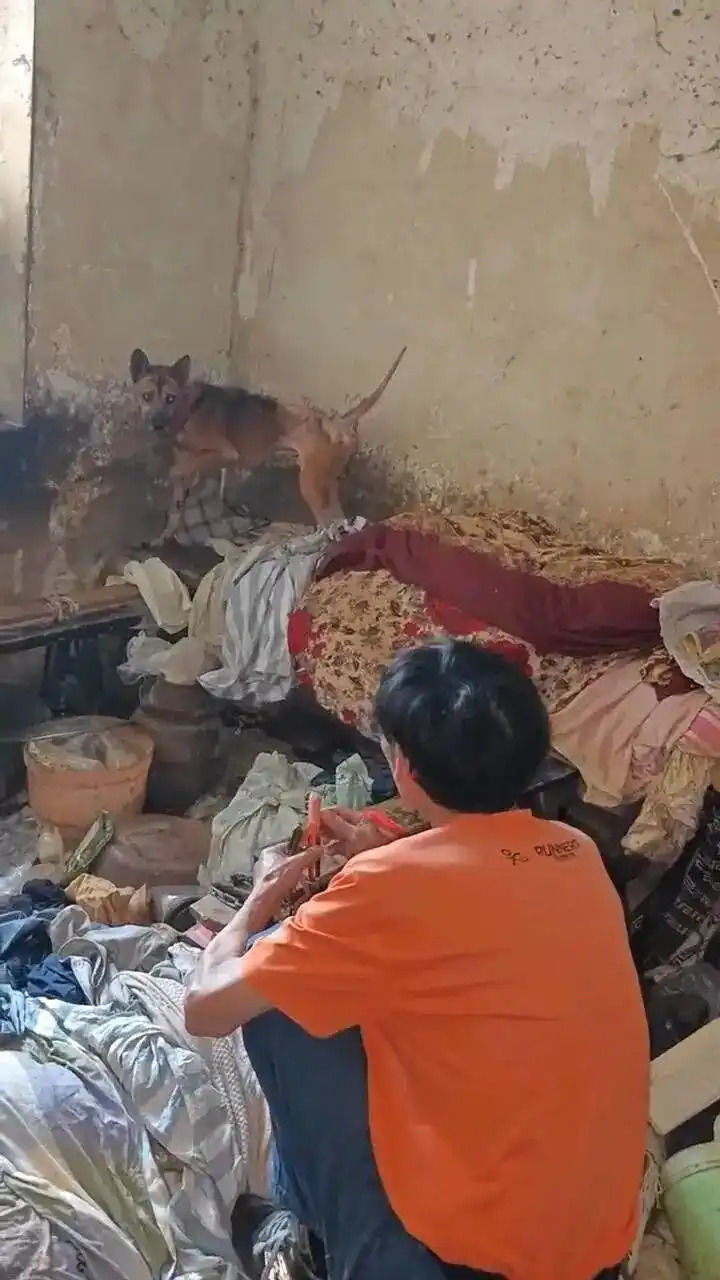 [뉴시스] 중국 충칭에서 70대 독거 여성이 세상을 떠난 뒤, 집을 지키며 떠나지 않던 반려견이 동물 구조 단체에 의해 구조됐다.(사진=대완뉴스 캡쳐).2025.09.11 *재판매 및 DB 금지