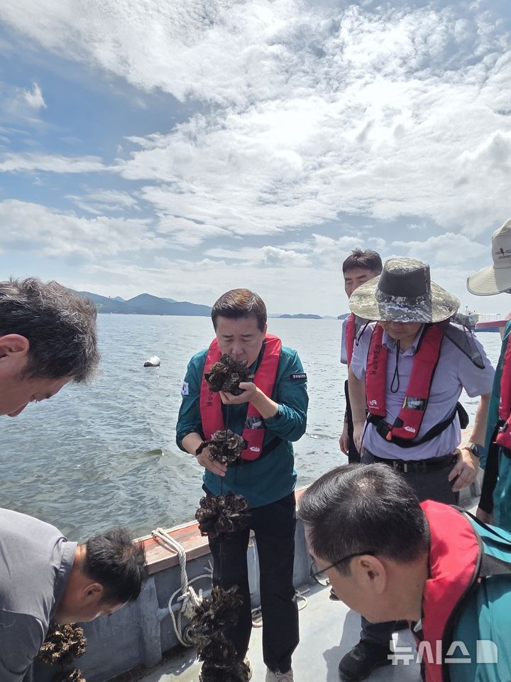 [고성=뉴시스]경남도의회 백수명(가운데) 농해양수산위원장이 11일 경남도 수산정책과장, 도수산안전기술원장, 고성군 해양수산과장과 함께 산소부족 물덩어리 피해가 발생한 고성군 하일면 자란만 가리비 양식장을 방문해 애로 사항을 청취하고 있다.(사진=경남도의회 제공) 2025.09.11. photo@newsis.com