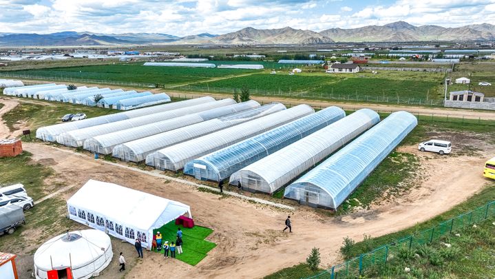 [함안=뉴시스]함안군 사절단, 몽골 '함안아라농장' 현장 방문.(사진=함안군 제공) 2025.09.11.photo@newsis.com *재판매 및 DB 금지