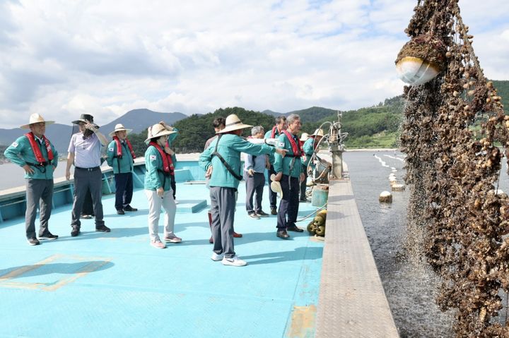 [고성(경남)=뉴시스] 신정철 기자= 경남 고성군의회(의장 최을석)는 11일, 산소부족 물덩어리(빈산소수괴)로 인해 큰 피해를 입은 하일면 송천리 지포항 일대의 굴·가리비 양식장을 방문, 피해 어업인들의 목소리를 청취했다.사진은 고성군의회의 굴 피해 양식장 방문 모습.(사진=고성군의회 제공).2025.09.11. photo@newsis.com *재판매 및 DB 금지