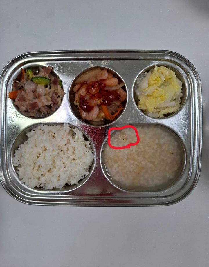 [뉴시스] 평택 송탄의 한 어린이집에서 키즈노트에 올린 벌레가 보이는 급식 사진. 2025.09.12. (사진=SNS 갈무리) *재판매 및 DB 금지