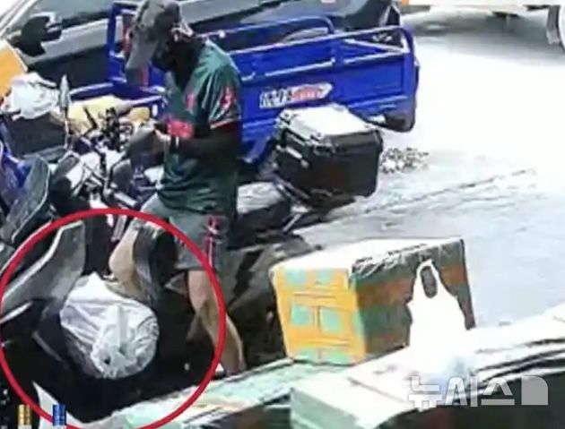 [뉴시스] 죽은 줄 알았으나 살아있었던 비닐 봉지 속 악어.(사진=항저우데일리) 