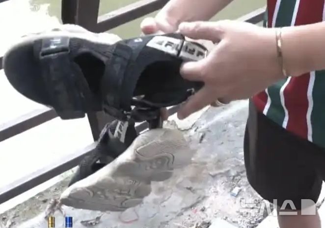 [뉴시스]악어에 의해 찢겨진 슬리퍼 모습.(사진=항저우데일리) 