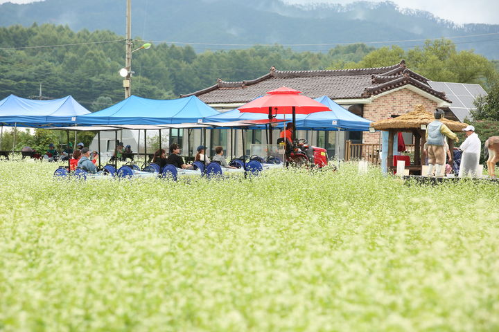 [평창=뉴시스] 평창 효석문화제. (사진=평창군 제공) 2025.09.12. photo@newsis.com *재판매 및 DB 금지