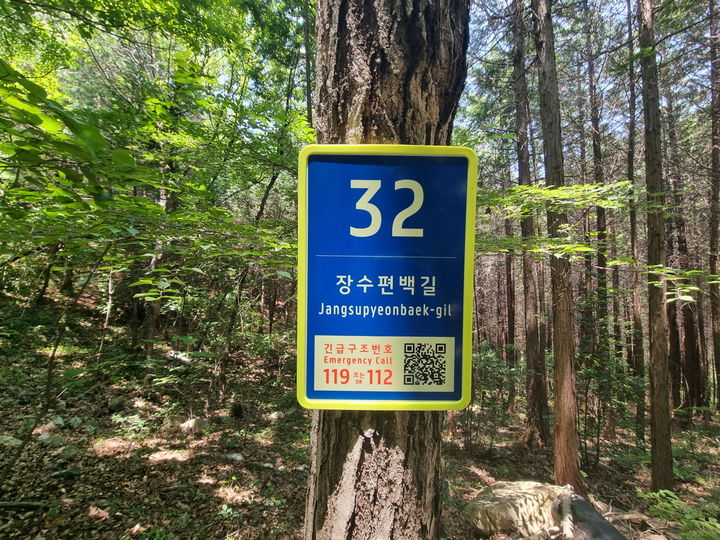 [무안=뉴시스] 고흥 장수편백길. (사진=전남도 제공) 2025.09.13. photo@newsis.com *재판매 및 DB 금지