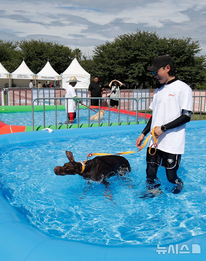[제주=뉴시스] 우장호 기자 = 성숙한 반려동물 문화 확산과 제주 반려동물 연관산업 활성화를 위한 '2025 제주 반려동물 문화산업 한마당'이 12일 오전 제주시민복지타운 일원에서 열리고 있다. 2025.09.12. woo1223@newsis.com