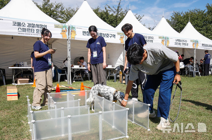 [제주=뉴시스] 우장호 기자 = 성숙한 반려동물 문화 확산과 제주 반려동물 연관산업 활성화를 위한 '2025 제주 반려동물 문화산업 한마당'이 12일 오전 제주시민복지타운 일원에서 열리고 있다. 2025.09.12. woo1223@newsis.com