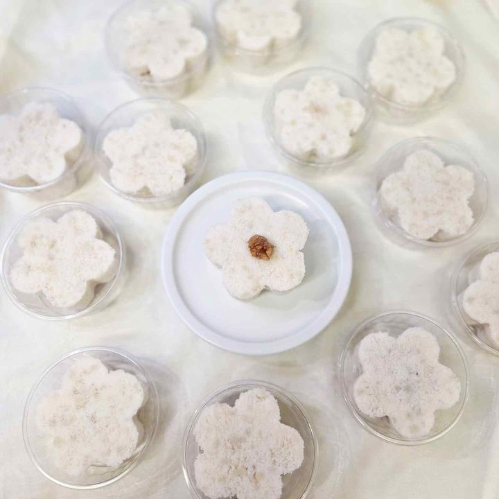 [세종=뉴시스] 농촌진흥청 국립원예특작과학원은 '제1회 수출 확대를 위한 배 활용 조리법 공모전' 수상작을 선정했다고 14일 밝혔다. 사진은 대상작인 최길순 씨(강원 원주)가 출품한 '달콤배호두설기'. (사진=농진청 제공) 2025.09.14. photo@newsis.com *재판매 및 DB 금지