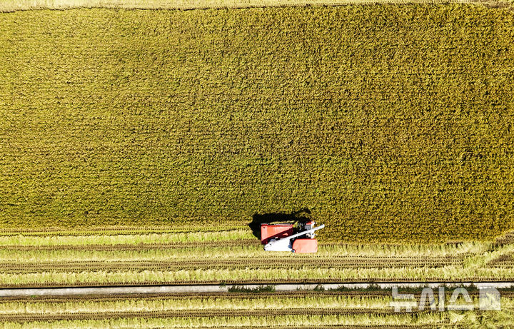 [남해=뉴시스] 차용현 기자 = 14일 오전 경남 남해군 남면 석교마을 인근 논에서 한 농민이 콤바인을 이용해 벼를 수확하고 있다. 2025.09.14. con@newsis.com